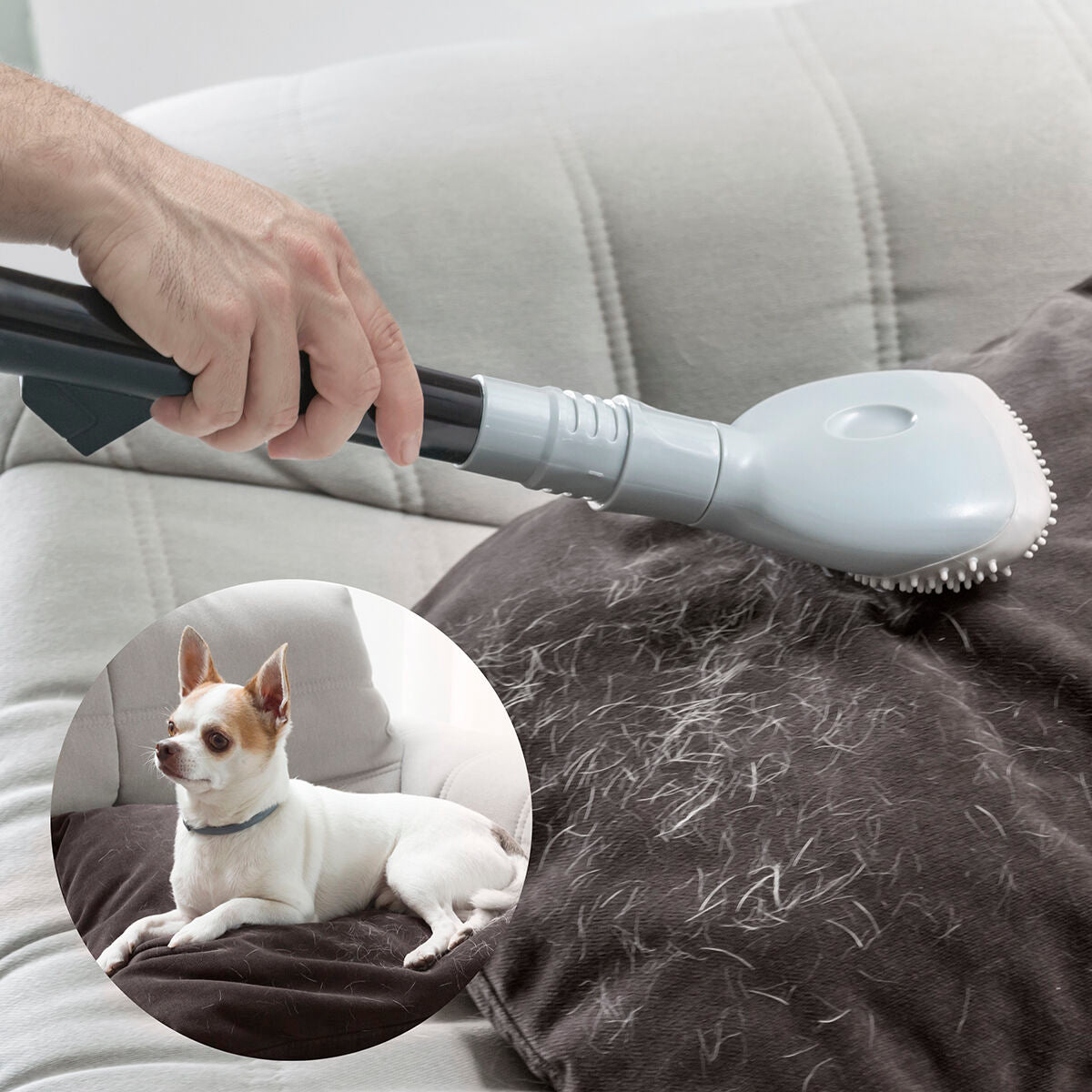 Cepillo para Aspiradora Smoovah – InnovaGoods (Ideal para Pelos de Mascota)