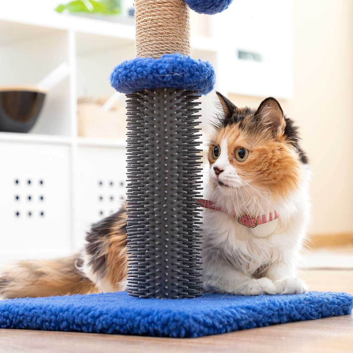 Rascador con masajeador y pelota para gatos